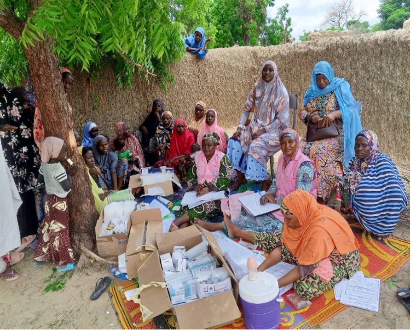 Niger : mobilisation sociale et offre de services dans la région de Zinder